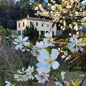 Sa Maniga , Bunyola Spanien
